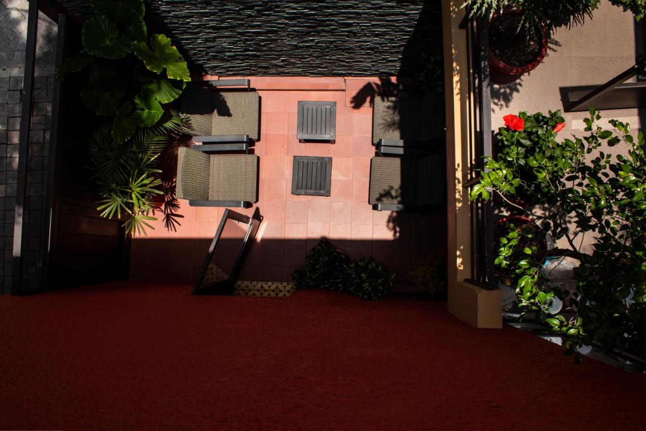 לינה וארוחת בוקר מקסיקו סיטי The Red Tree House מראה חיצוני תמונה