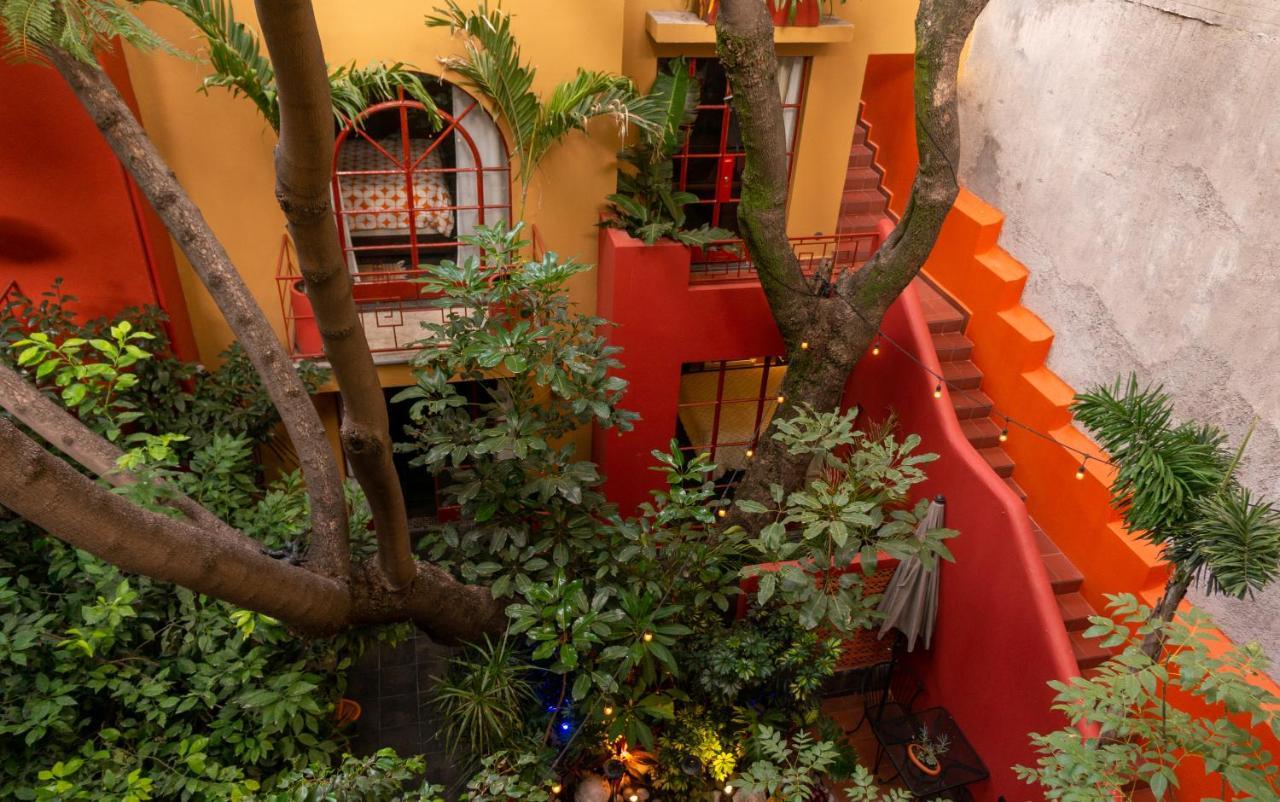 לינה וארוחת בוקר מקסיקו סיטי The Red Tree House מראה חיצוני תמונה