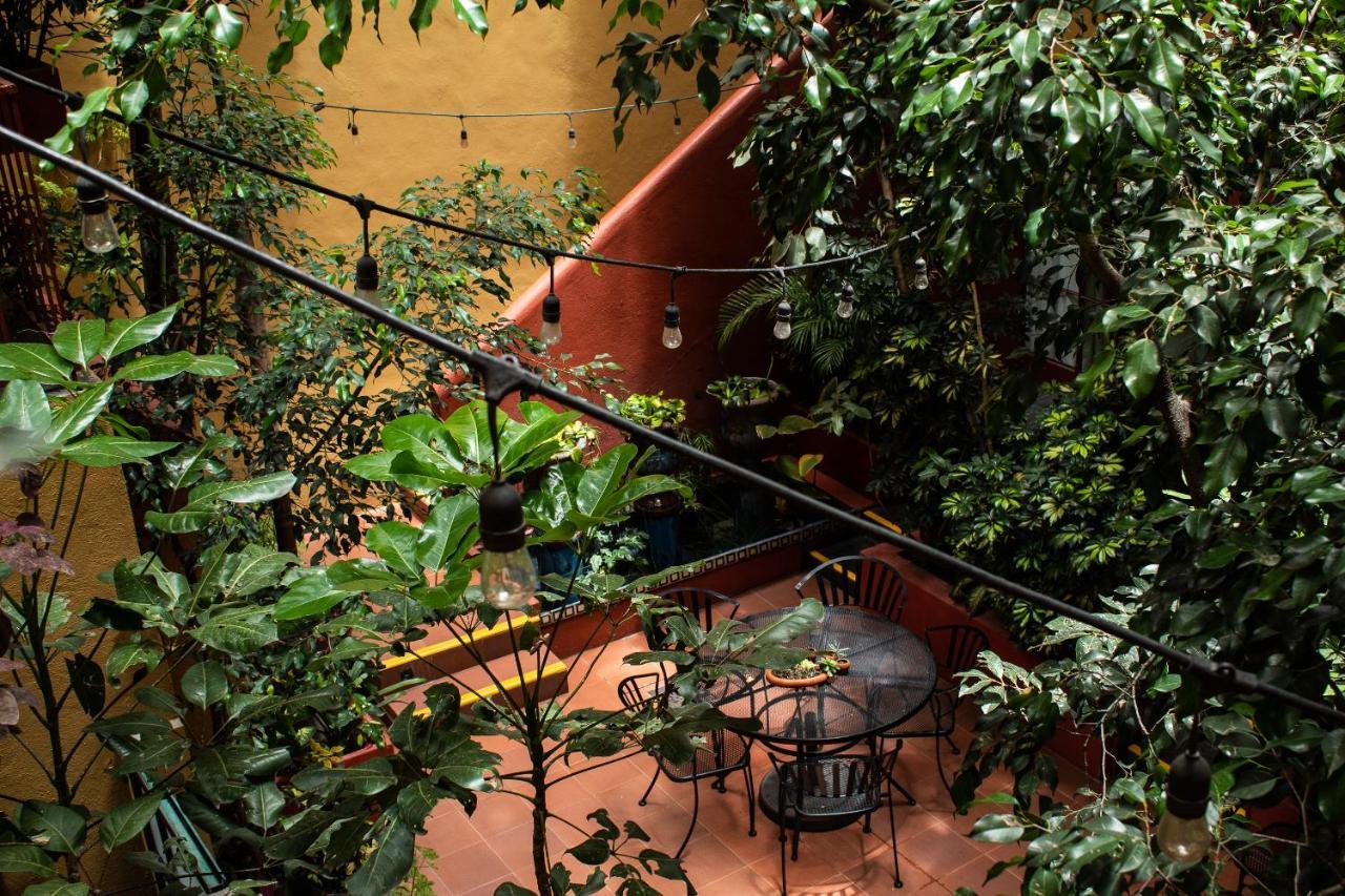 לינה וארוחת בוקר מקסיקו סיטי The Red Tree House מראה חיצוני תמונה