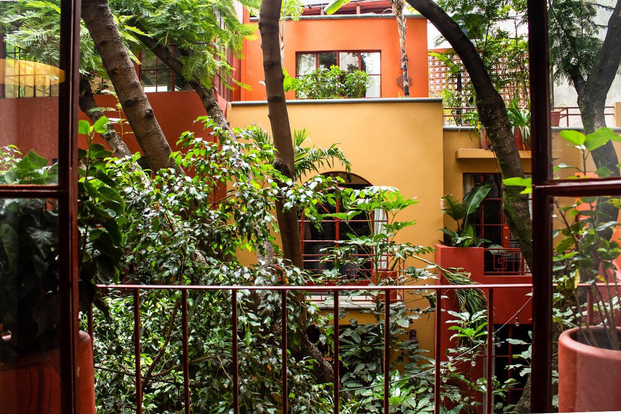 לינה וארוחת בוקר מקסיקו סיטי The Red Tree House חדר תמונה