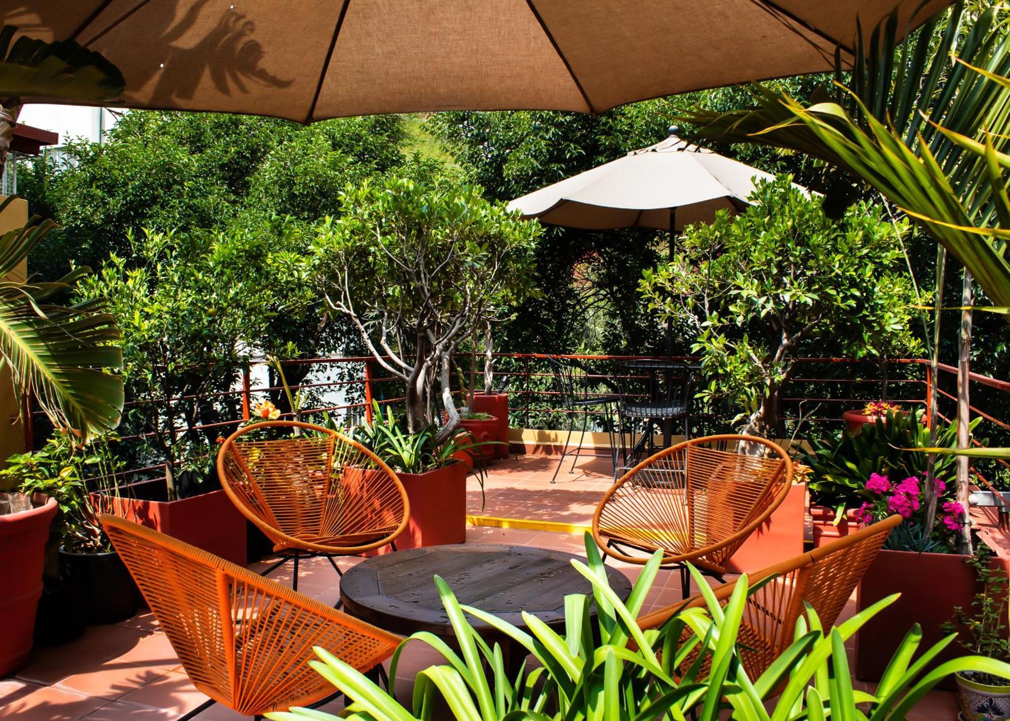 לינה וארוחת בוקר מקסיקו סיטי The Red Tree House חדר תמונה